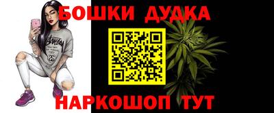 гидра Беслан
