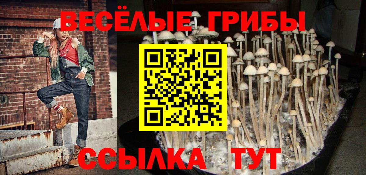Волжск  Галлюциногенные грибы Cubensis  Вход с VPN 