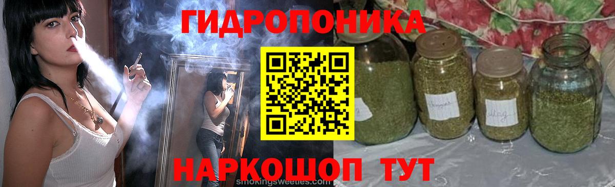 Канабис план  Конопля гибрид  Бошки марихуана планчик  Вход с VPN  Волжск 